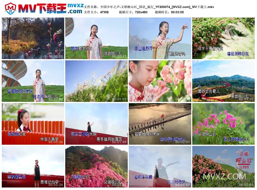 中国少年之声-又唱映山红_国语_流行_YF200074